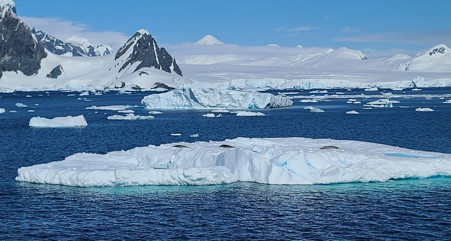 Quest for the Antarctic Circle