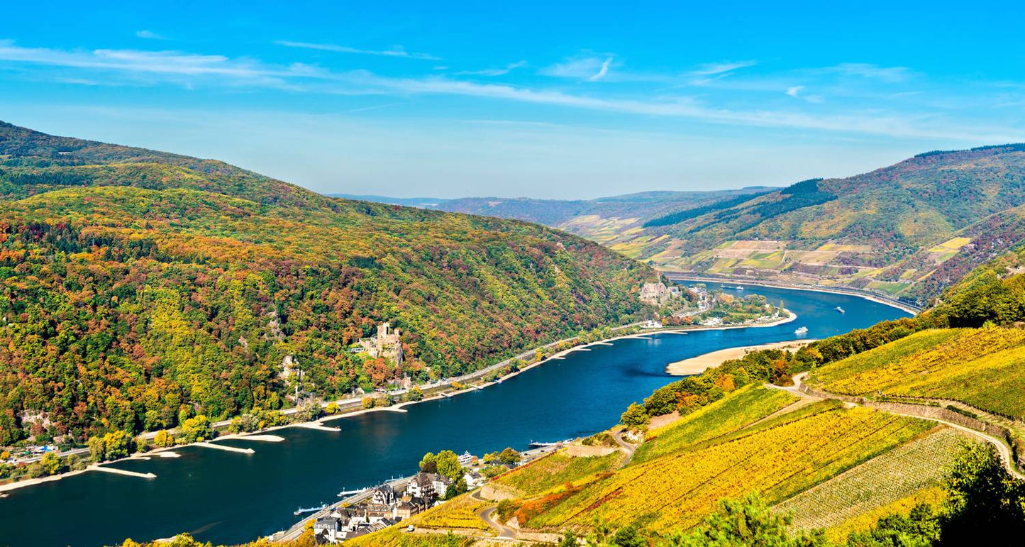 Europe Taster