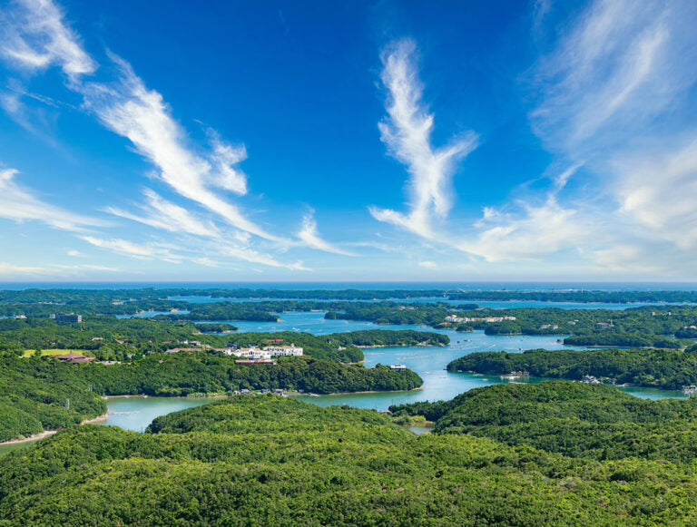 Japan: Wellness Immersion
