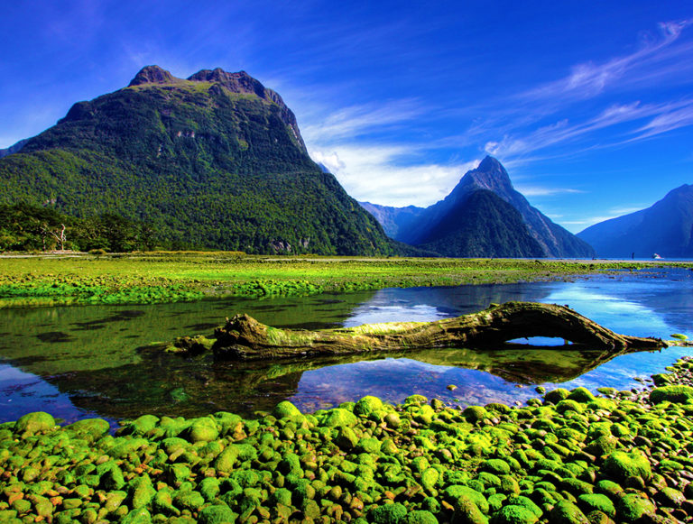 New Zealand: Walking and Wild Luxury