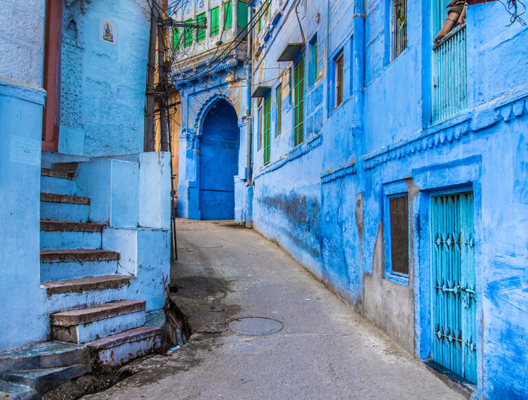India: The Best of Tigers, History, and Culture