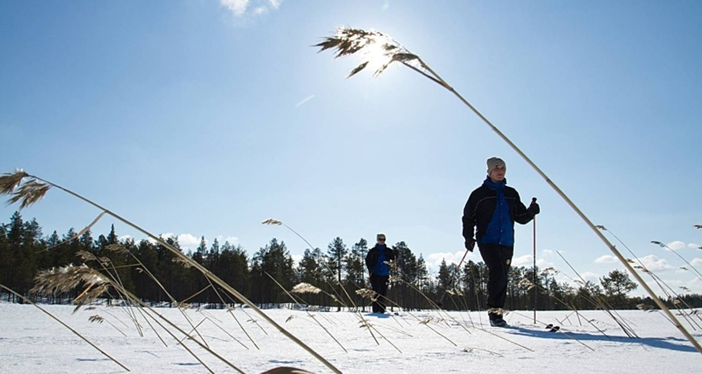 Journey to Finland's Winter Wonderland