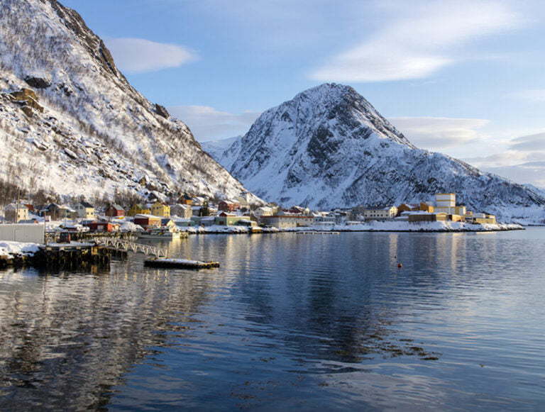 Norway: Arctic Honeymoon