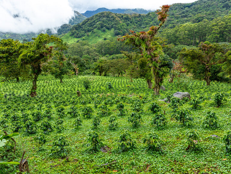 Panama: Family Adventure