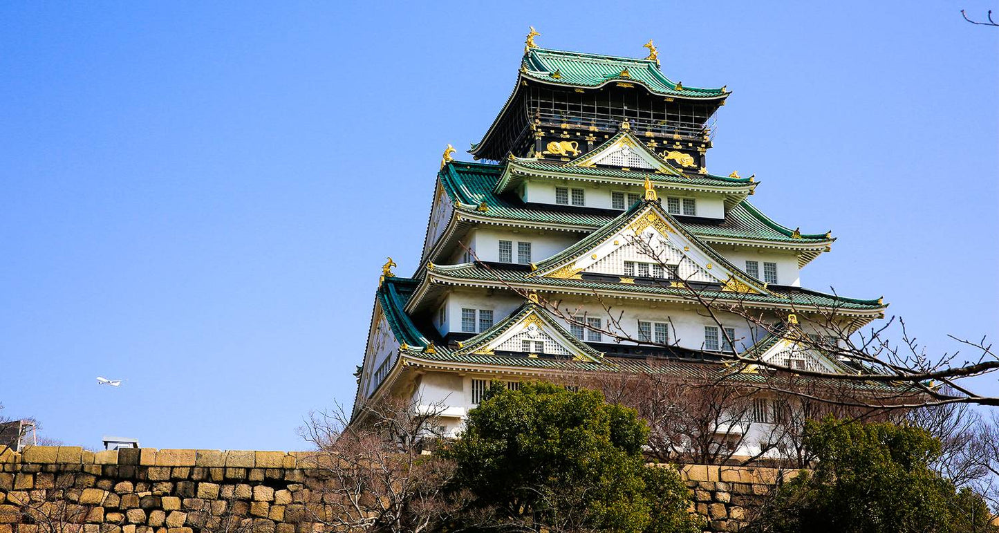 Best of Japan: Tokyo to Osaka (Private Guided)