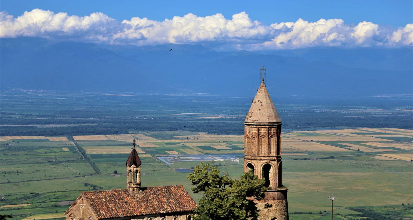 Georgia Private Tour with Driver-Guide