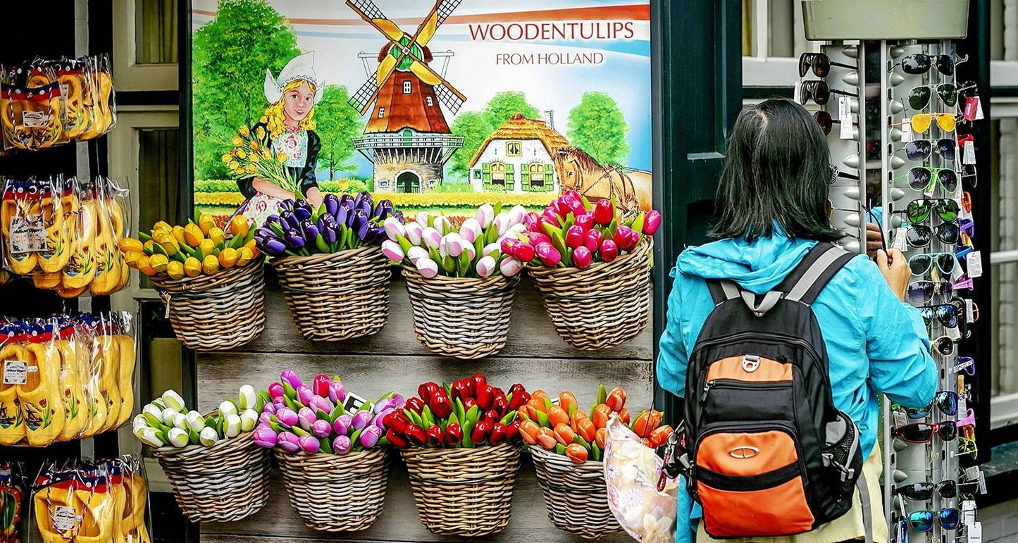 Tailor-made 6-Day Best of Holland Tour