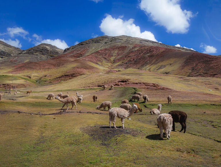 Peru: Active Adventure