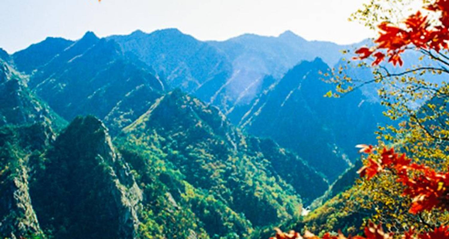 South Korea Circle Adventure 5D/4N