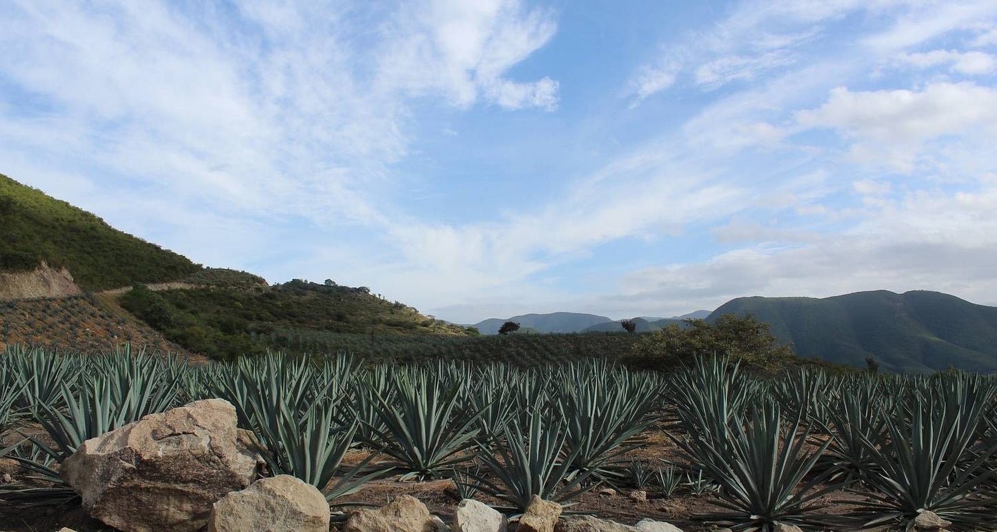 Discover Mexico