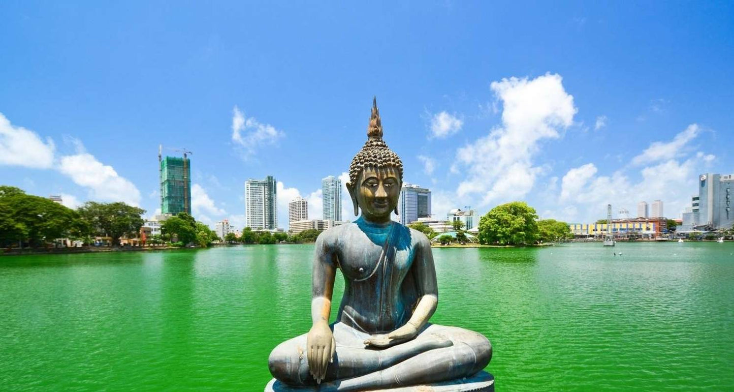 Discover the Best of Sri Lanka: From Coastal Beauty to Cultural Marvels" "Luxury Package "