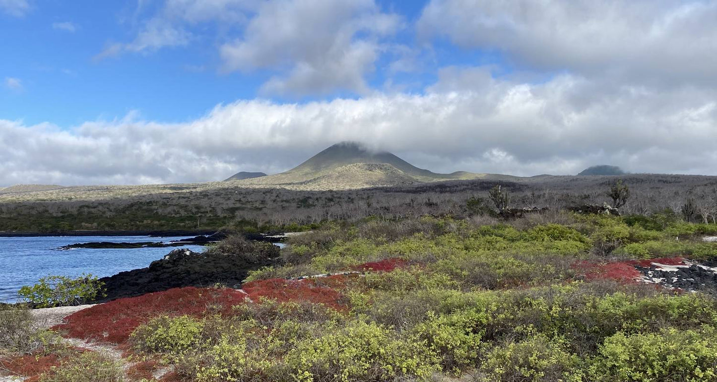 Galápagos Multisport