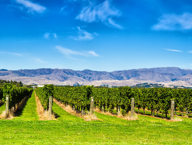 New Zealand: Walking and Wild Luxury