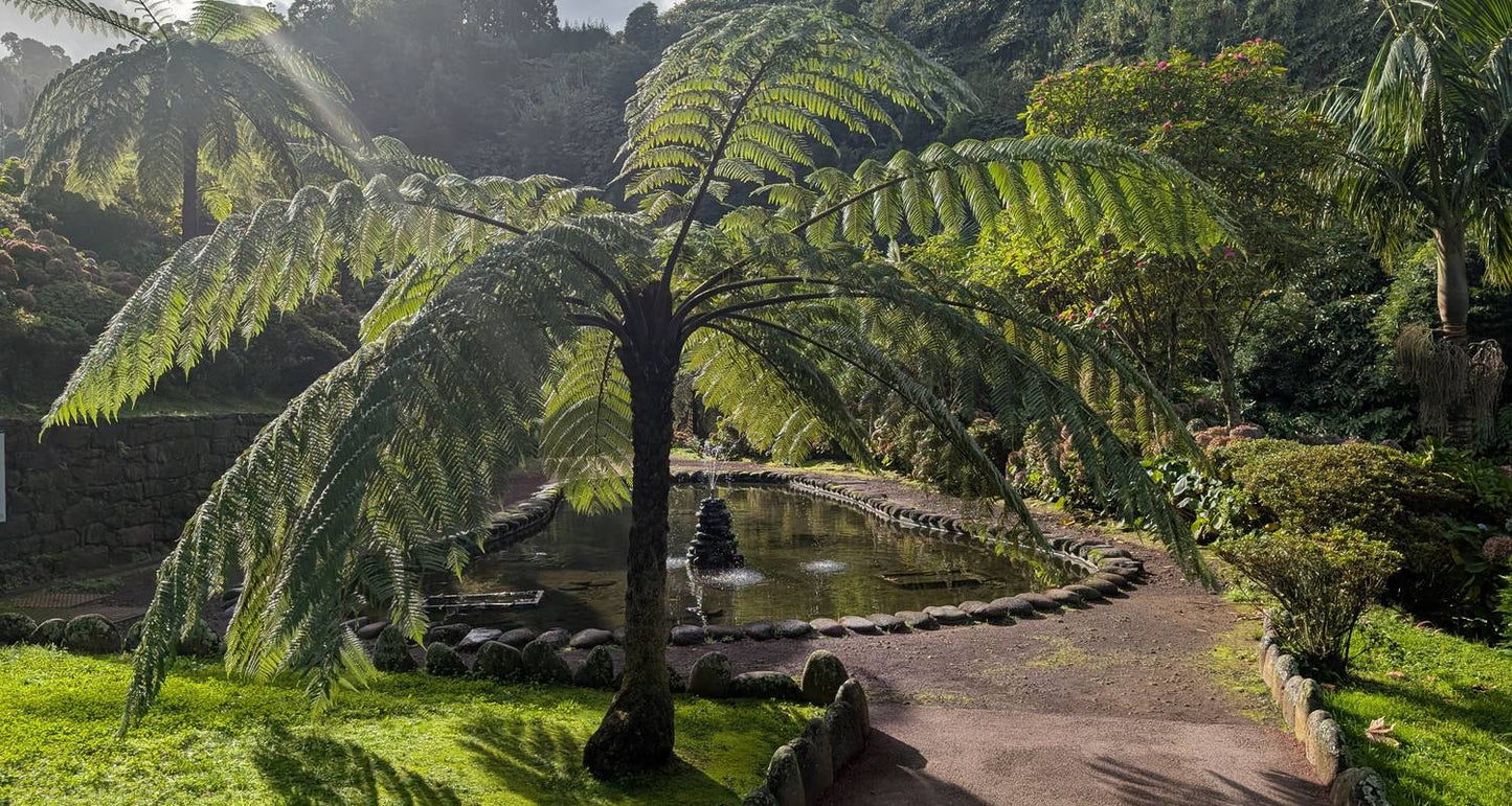 Best of the Azores: 7 days in São Miguel