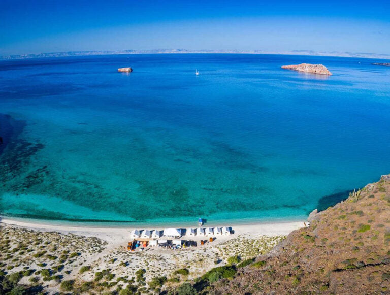 Baja: Ocean Safari