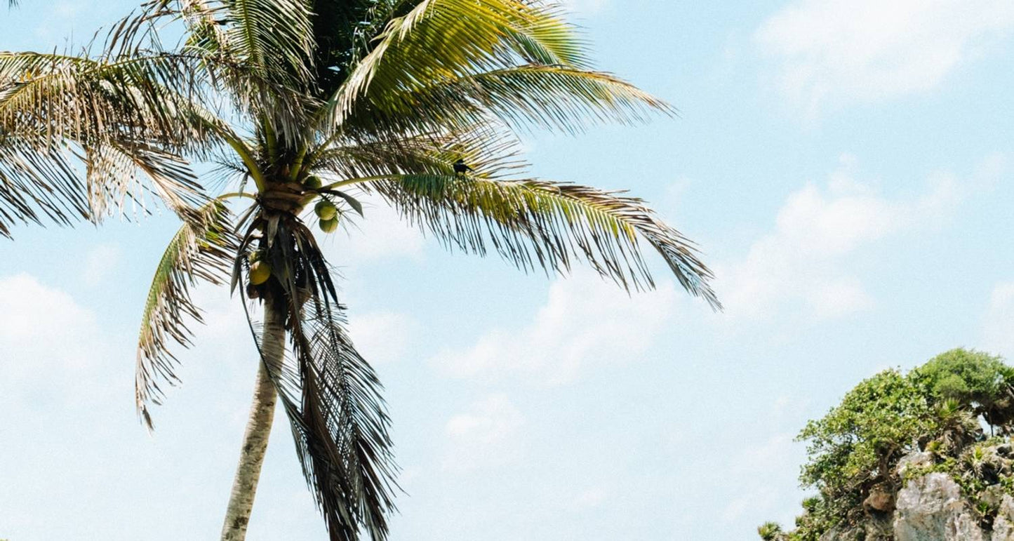 Mexico Yucatán Experience