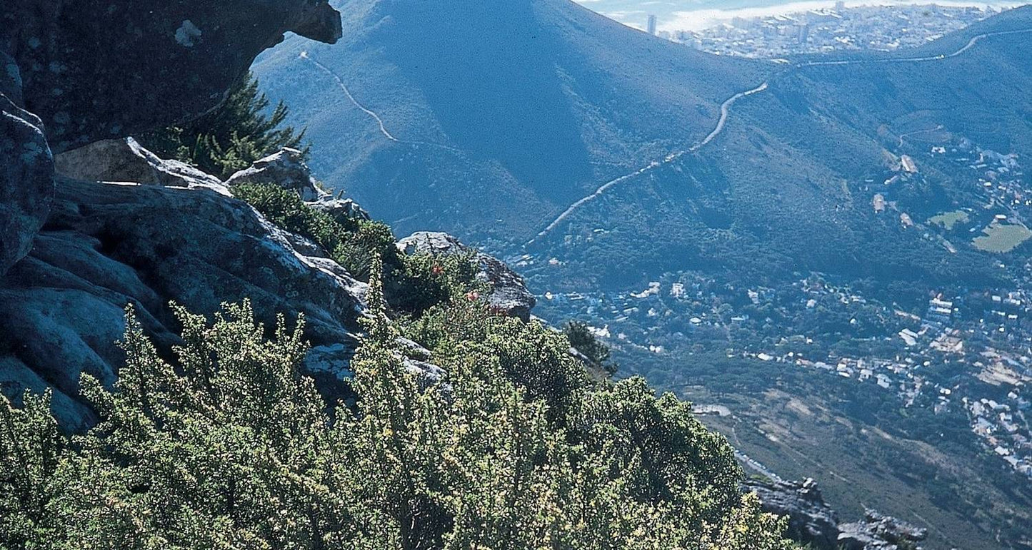Victoria Falls to Cape Town - Camping