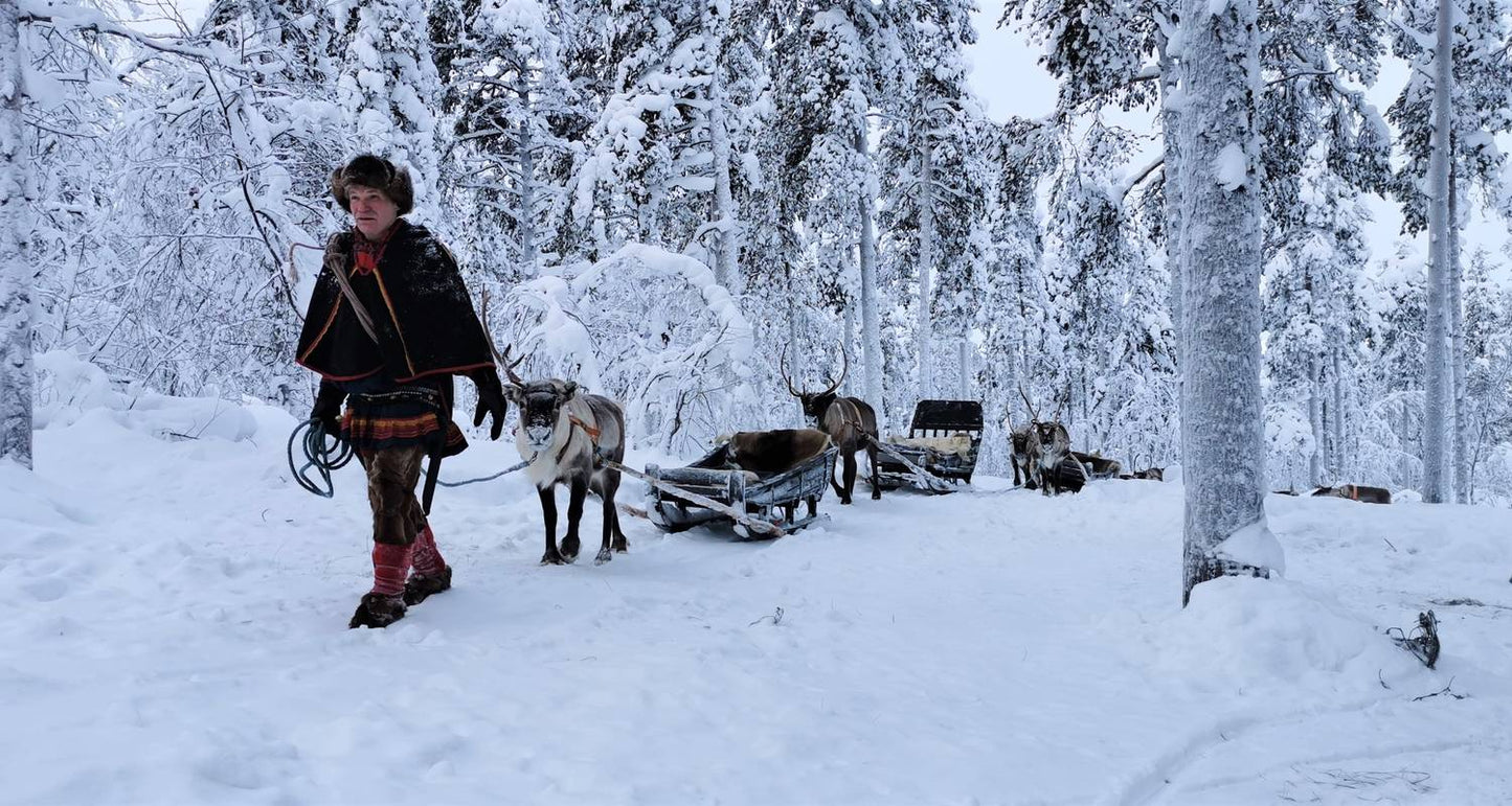 Arctic Circle Aurora Adventure