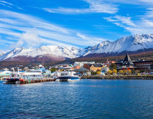 Best of Antarctica: Whale Journey (12 destinations)