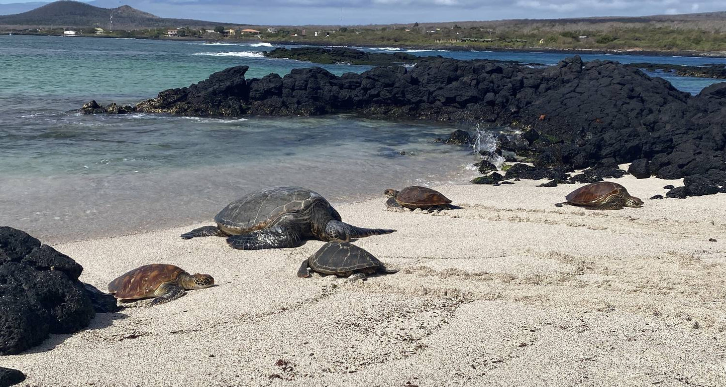Galápagos Multisport