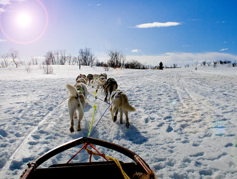 Norway: Arctic Honeymoon