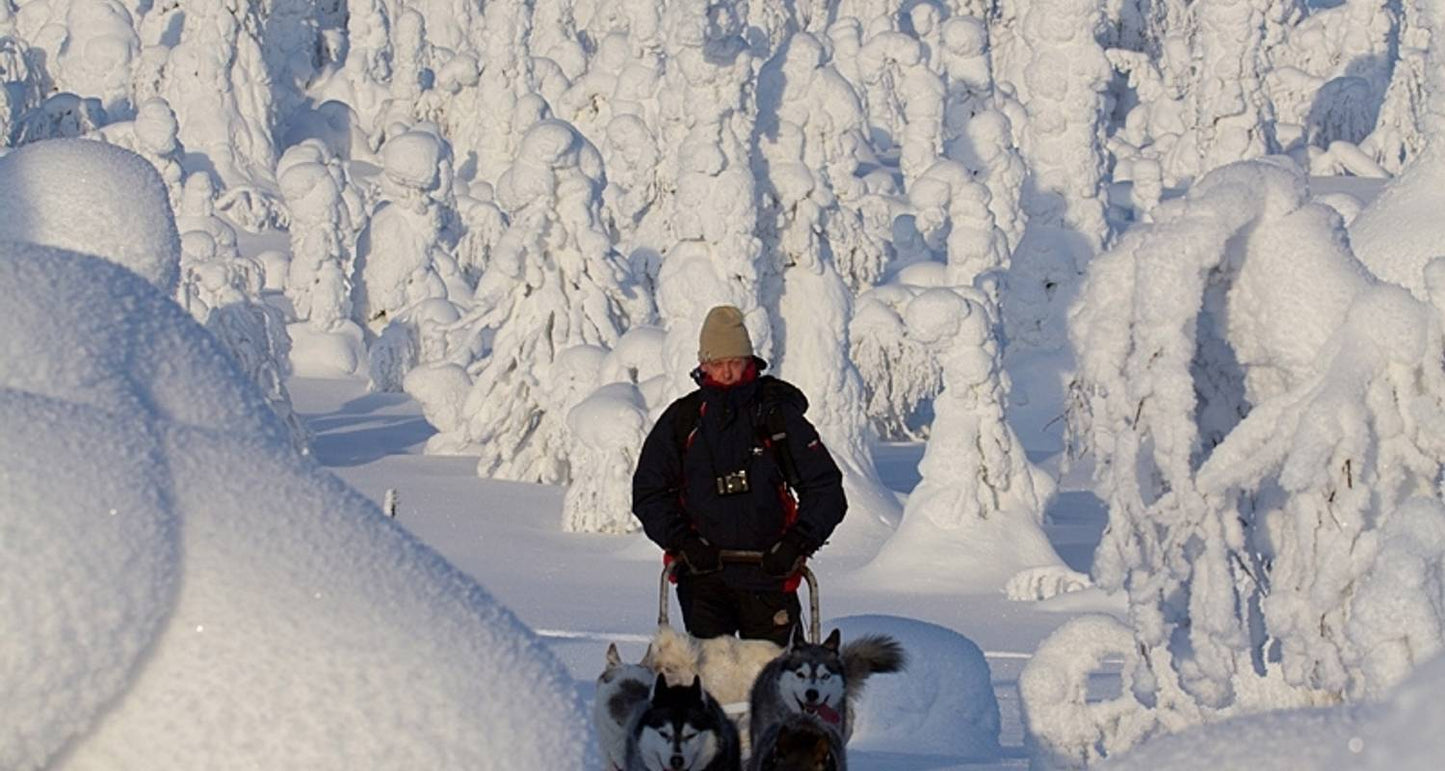 Journey to Finland's Winter Wonderland