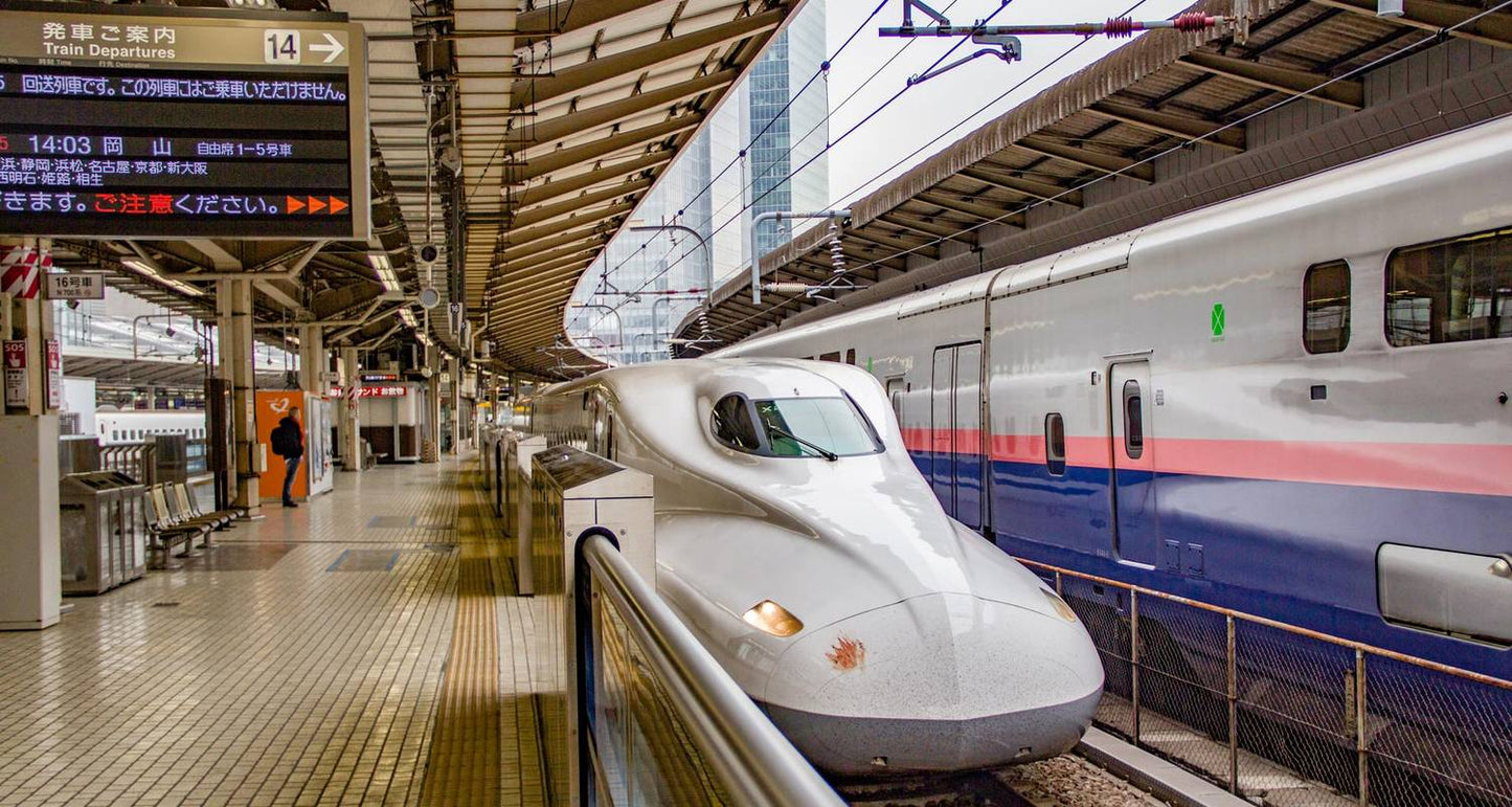 Best of Japan: Tokyo to Osaka (Private Guided)