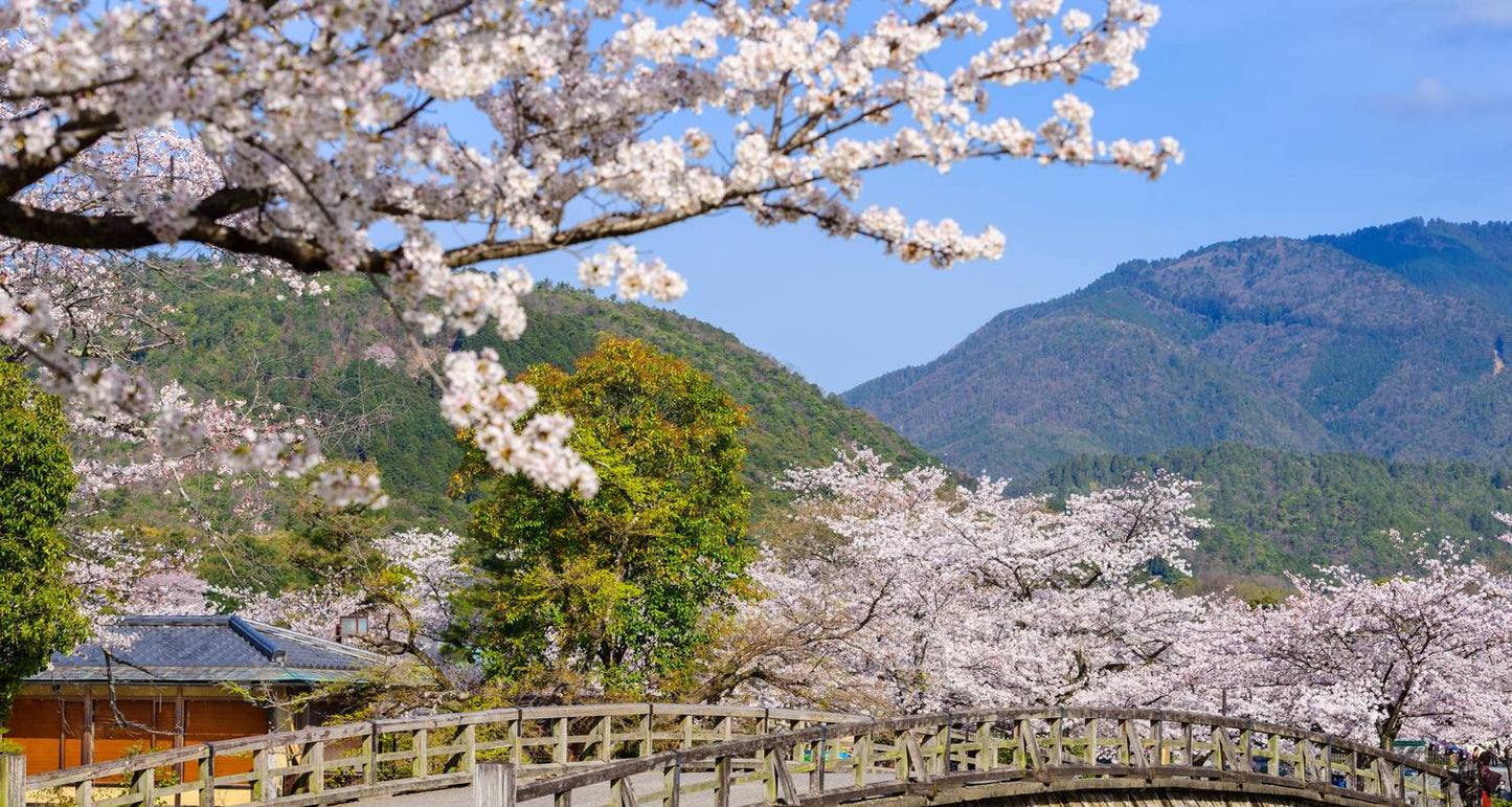 Highlights of Japan