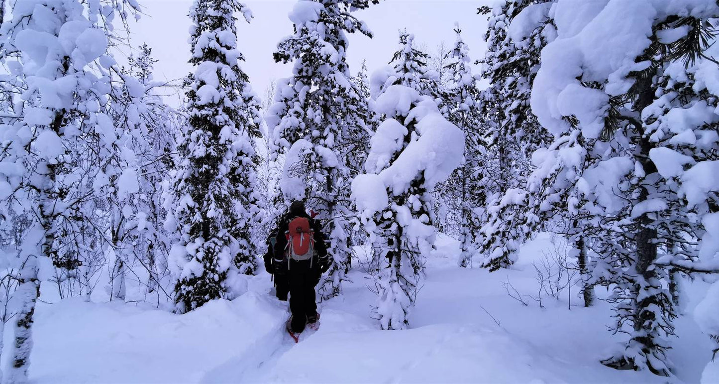 Arctic Circle Aurora Adventure