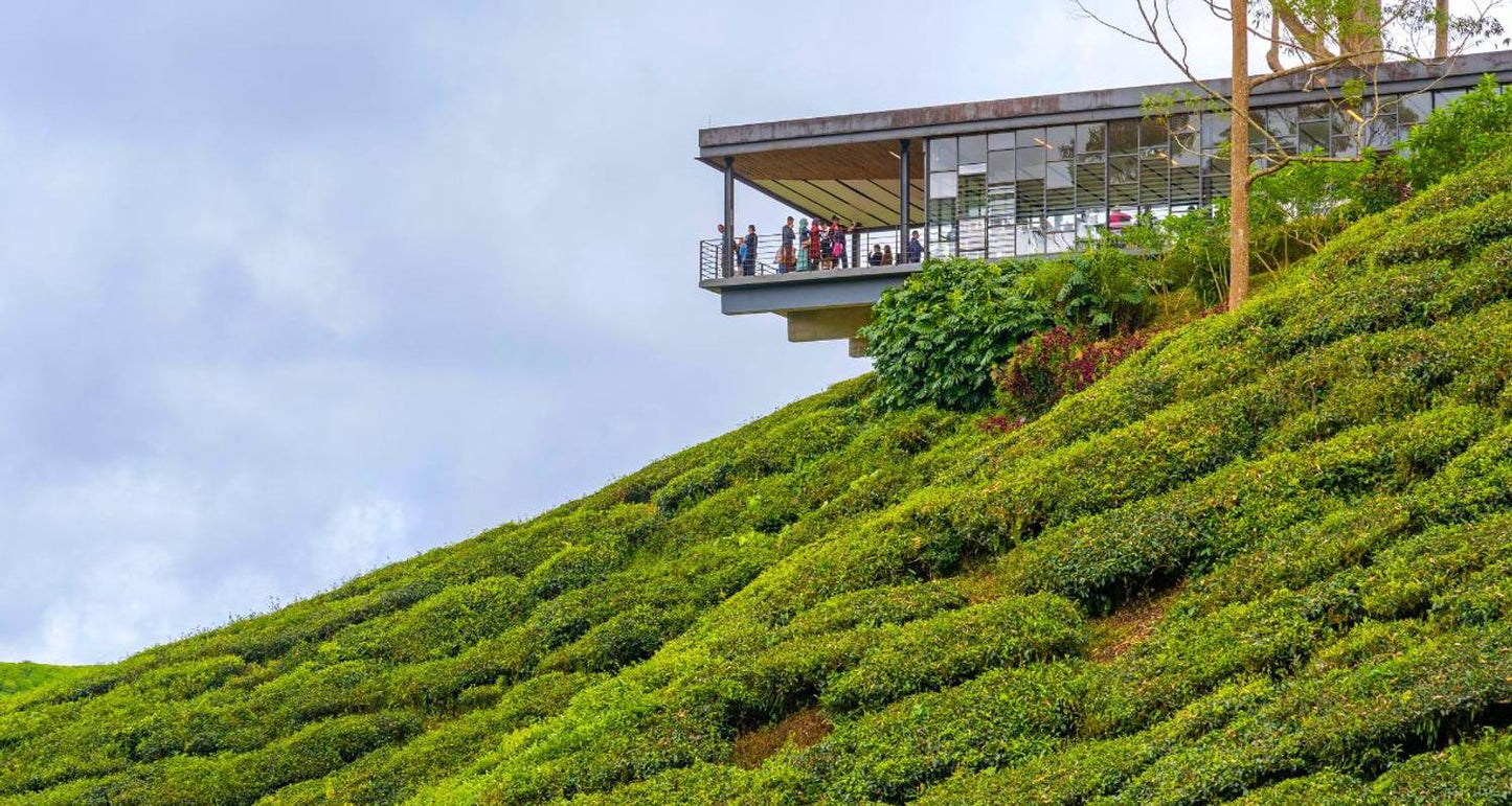 Discover Malaysia: 12 Days in Kuala Lumpur, Cameron Highlands, Penang & Langkawi）