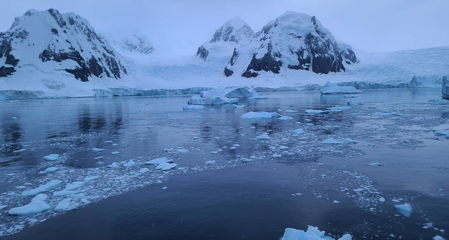 Quest for the Antarctic Circle