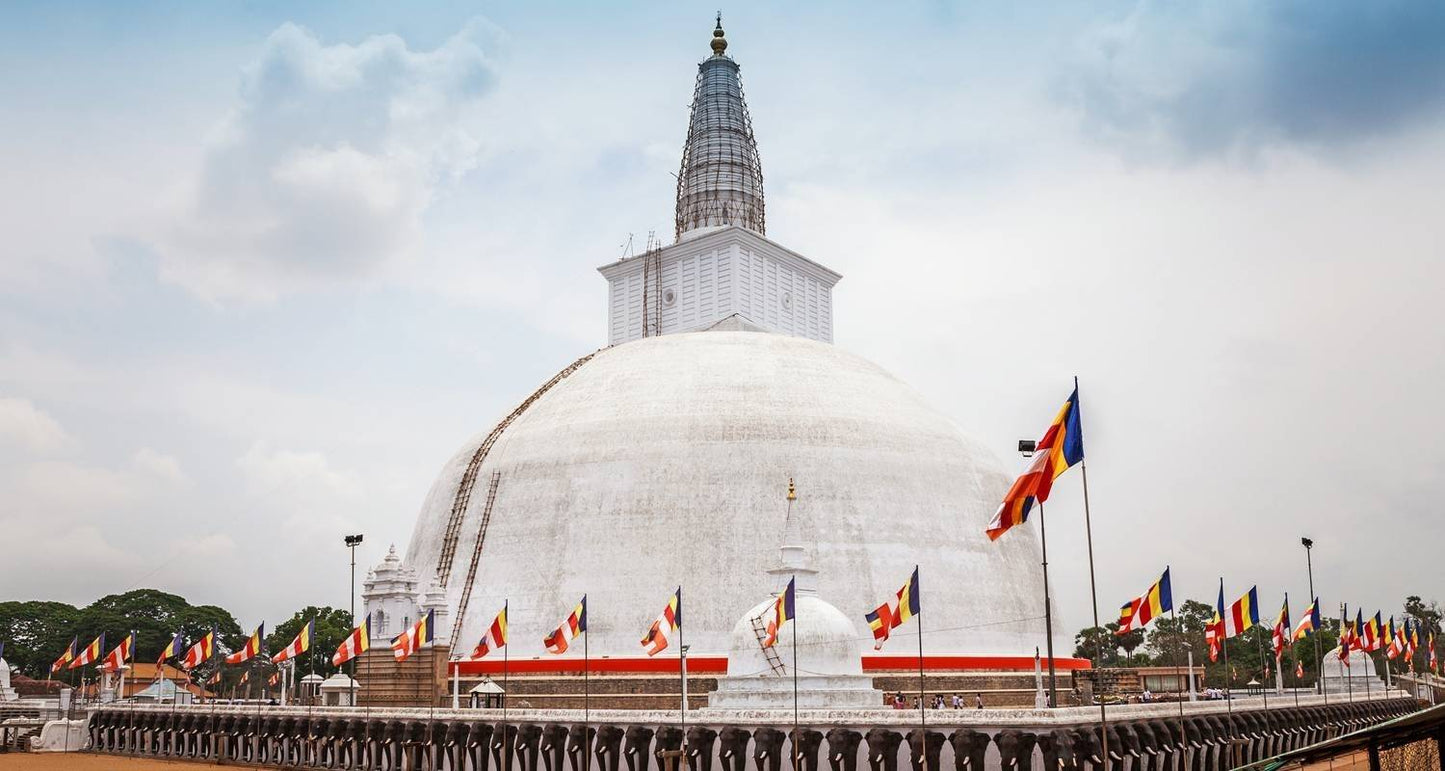 Highlights Tour of Sri Lanka