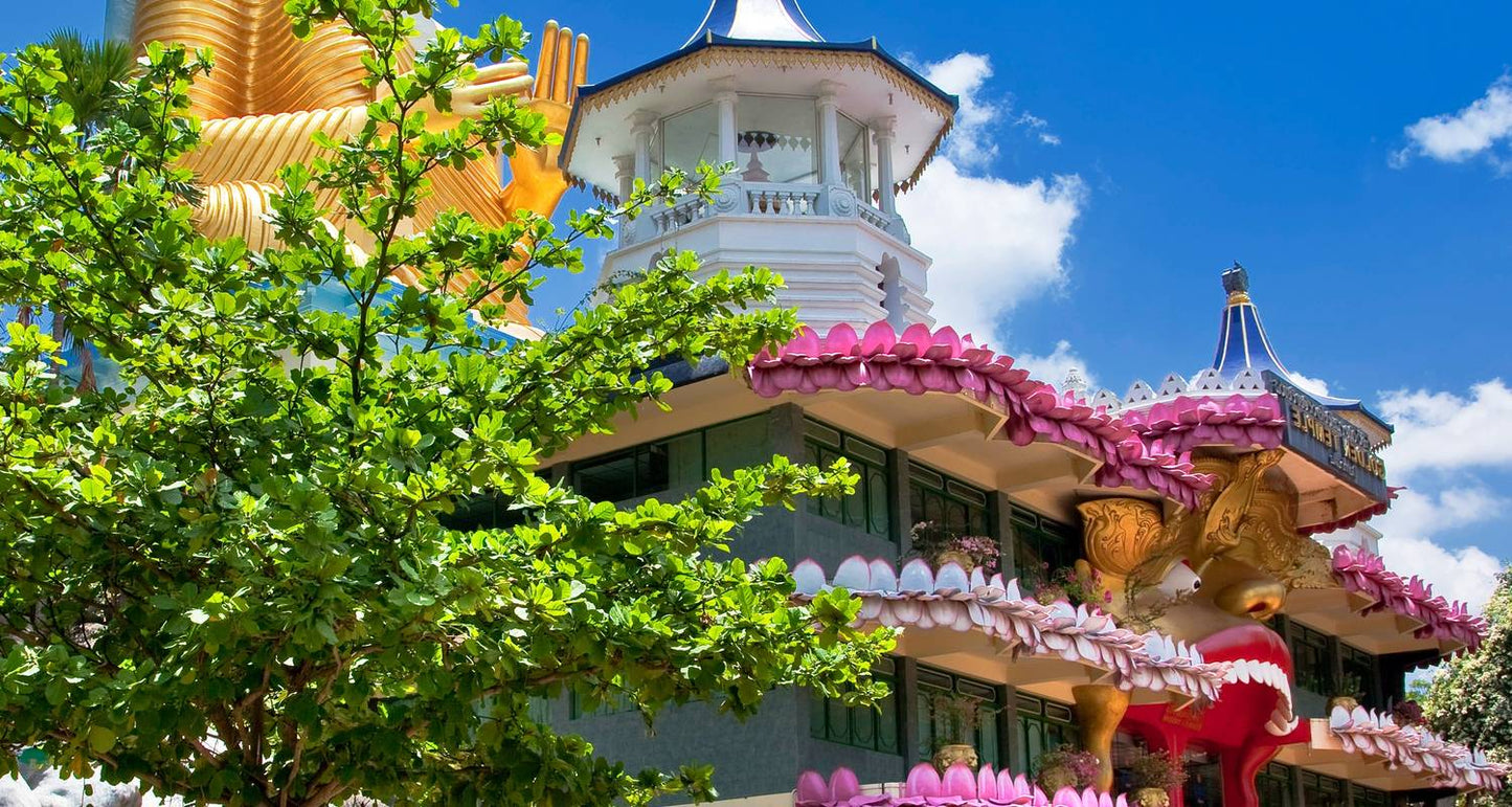 Discover the Best of Sri Lanka: From Coastal Beauty to Cultural Marvels" "Luxury Package "