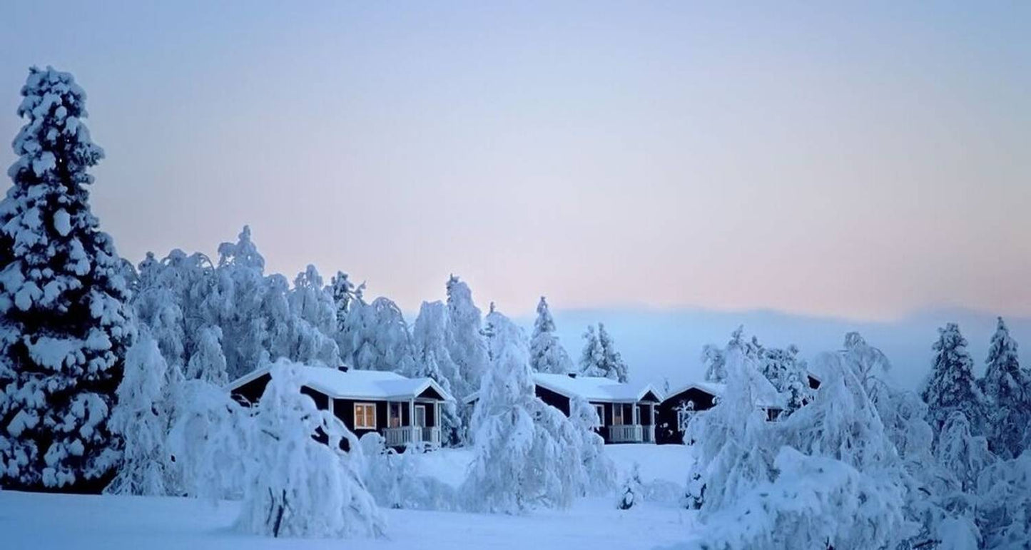 Arctic Circle Aurora Adventure