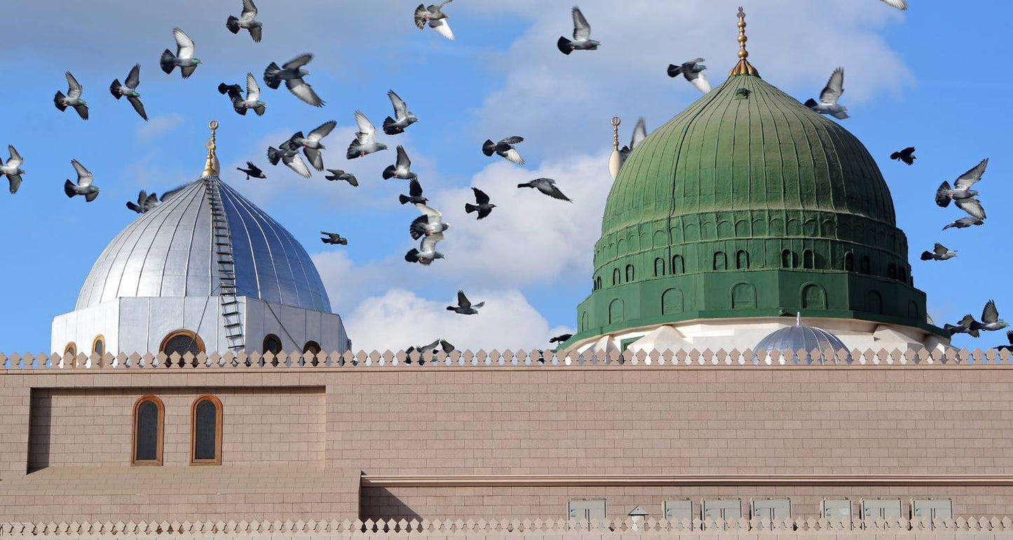 Arabian Classics and Persian Gulf Treasures in Abu Dhabi