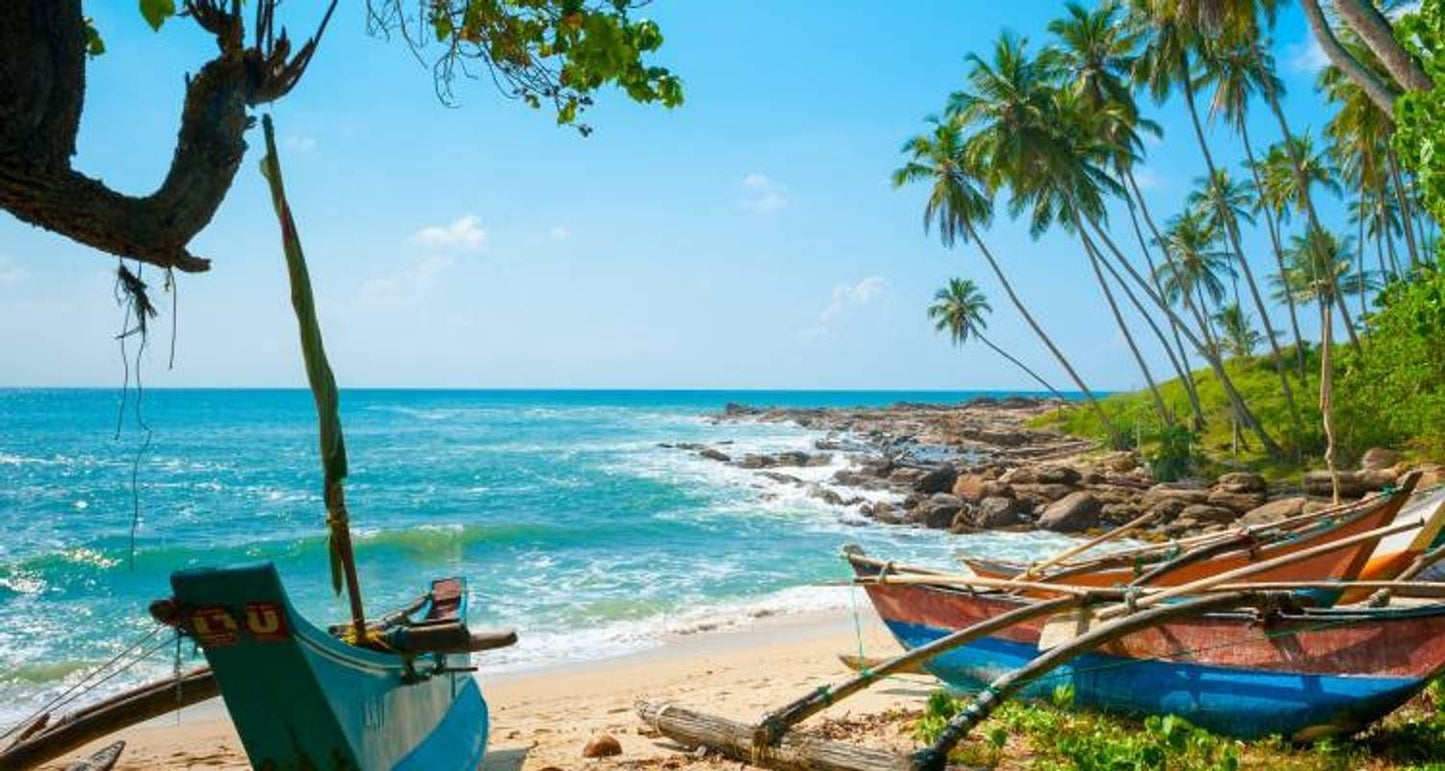 Highlights Tour of Sri Lanka