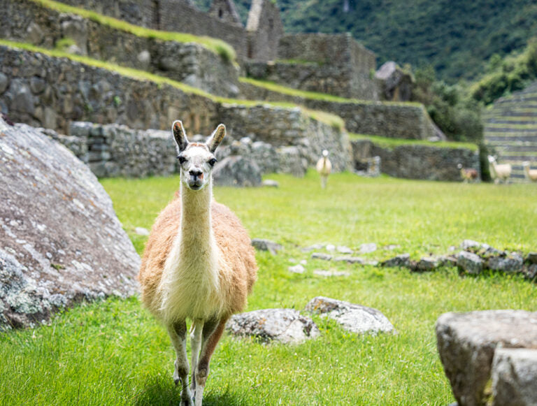 Peru: Sacred Valley and the South