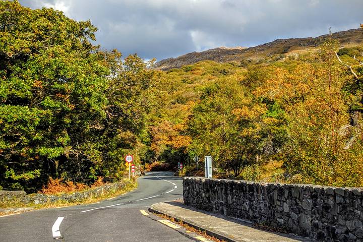 Kerry Royal