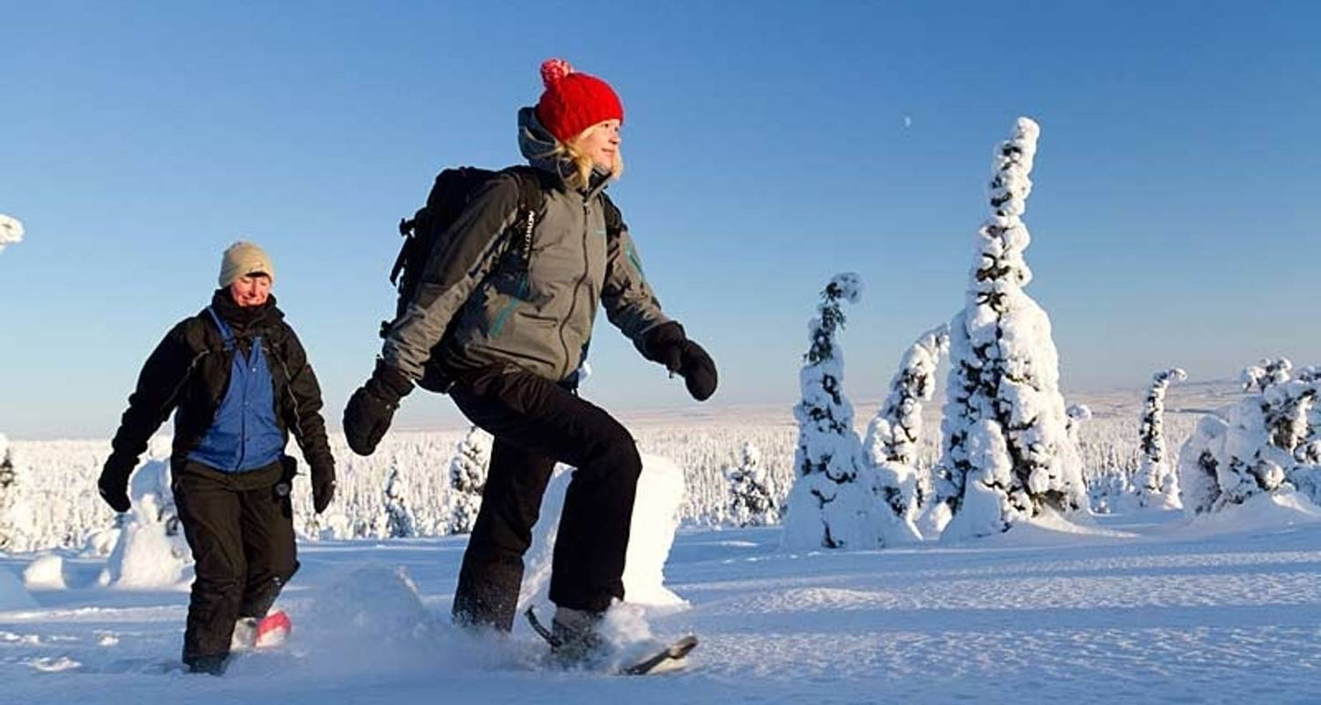 Journey to Finland's Winter Wonderland