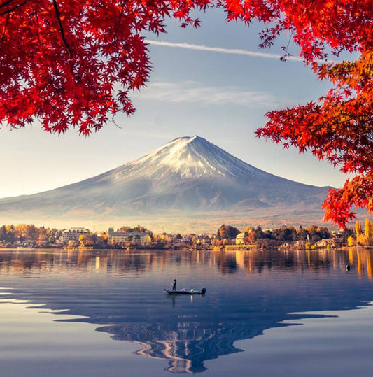 Best of Japan: Tokyo to Osaka (Private Guided)