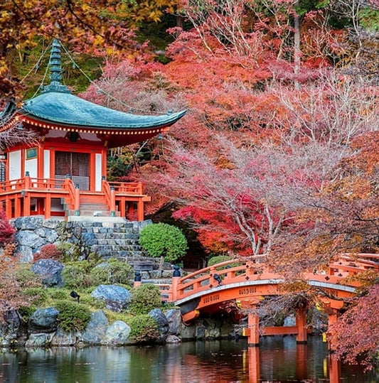 Highlights of Japan