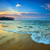 Discover the Best of Sri Lanka: From Coastal Beauty to Cultural Marvels" "Luxury Package "