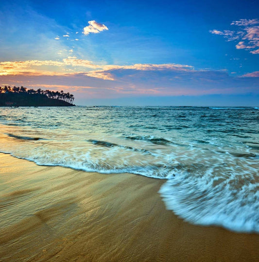 Discover the Best of Sri Lanka: From Coastal Beauty to Cultural Marvels" "Luxury Package "