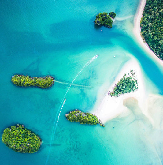 Panama City, Beaches & Mountains 8 Days Tour