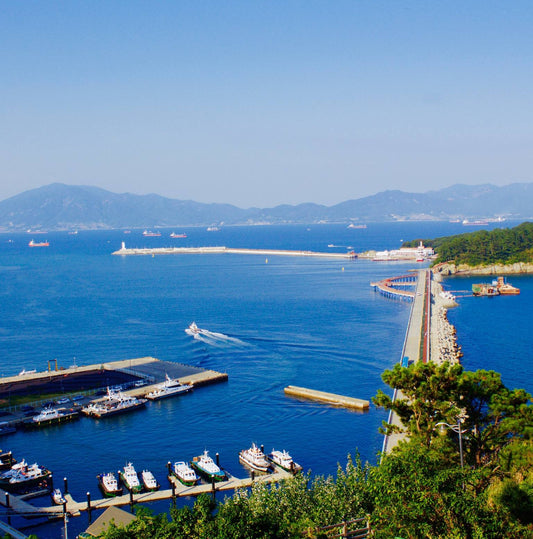South Korea Circle Adventure 5D/4N