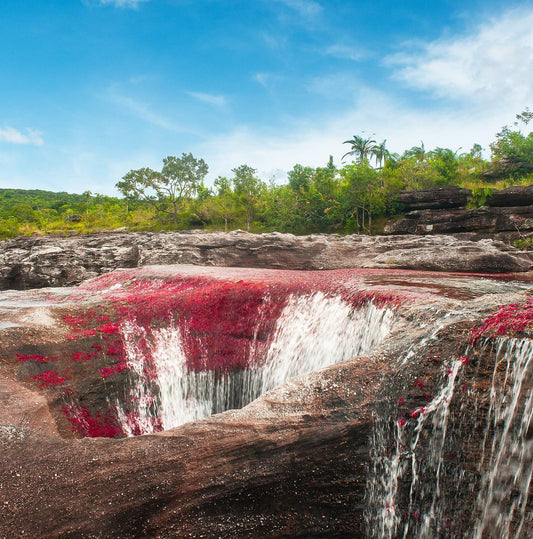 7 Days Rainbow Waters & City Lights - Colombia’s Wonders