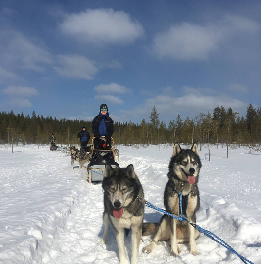 Journey to Finland's Winter Wonderland