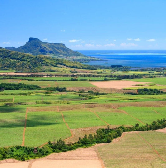Simply Mauritius, Private Tour
