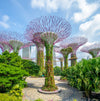 City Lights to Island Vibes: Singapore, Bali & Gili Escape