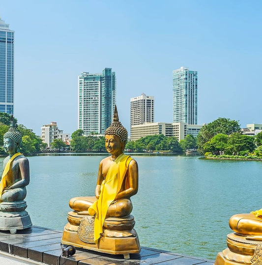 Highlights Tour of Sri Lanka